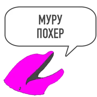 🎂 МУРУ ПОХЕР delfín, ofensivo, texto, jerga whatsapp sticker