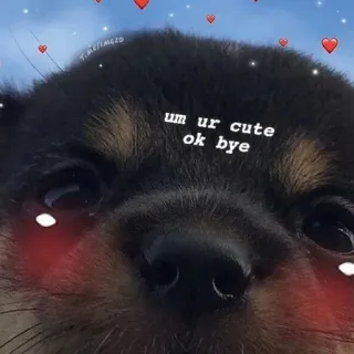 ❤️ um ur cute ok bye chien, mignon, coeurs, chiot, mème, amour telegram sticker