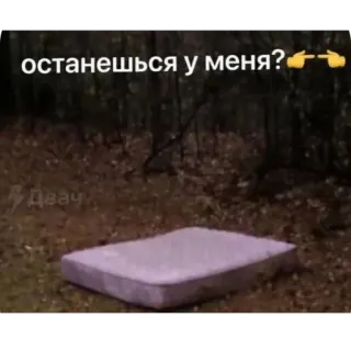 🫥 останешься у меня? telegram sticker