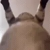 🤨