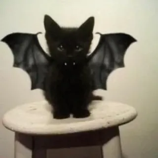 😸 猫, コウモリ, 子猫, 動物, 翼, かわいい, ハロウィン, ファンタジー telegram sticker
