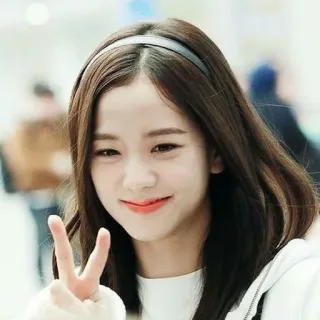🦄 Jisoo kpop, musique, chanteuse, femme, personne, portrait, idole, blackpink whatsapp sticker