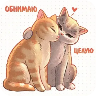🐱 ОБНИМАЮ
ЦЕЛУЮ 猫, 愛情, 愛, キス, ハグ, かわいい telegram sticker
