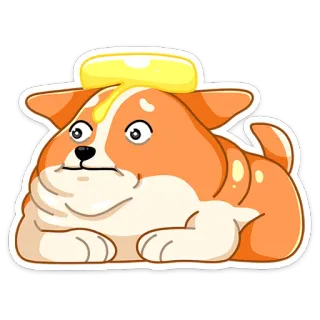 😳 หมา, คอร์กี้, น่ารัก, สัตว์, การ์ตูน, เนย, อาหาร telegram sticker