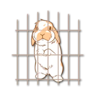 😩 ウサギ, ケージ, 動物, ペット, 閉じ込められた, バニー telegram sticker