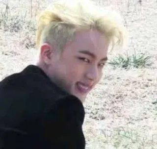 😏 Jin Jin, BTS, K-pop, idol, singer, male, celebrity telegram sticker