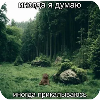 🥰 иногда я думаю
иногда прикалываюсь forest, bear, thinking, joke, meme, funny, animal whatsapp sticker