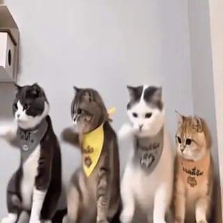Больше стиков тут: @stikery4 whatsapp stickers