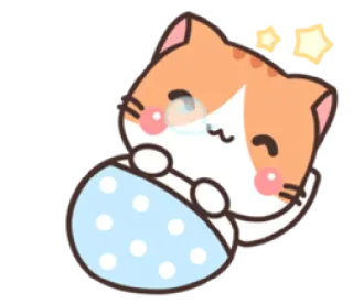 😴 mèo, ngủ, dễ thương, hoạt hình, kawaii, động vật, buồn ngủ whatsapp sticker