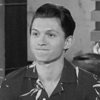 🔉 Tom Holland acteur, homme, célébrité, portrait telegram sticker