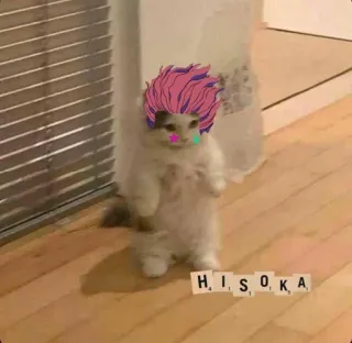 Anime Cat! by @sollevatricedipolemiche telegram stickers