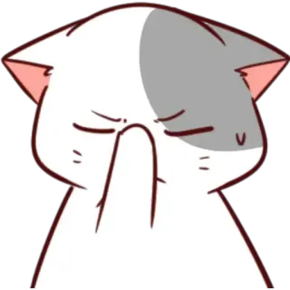 🤦‍♂ mèo, ngón giữa, cử chỉ xúc phạm, nhãn dán, phim hoạt hình, tức giận telegram sticker