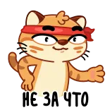😌 НЕ ЗА ЧТО mèo, Nga, chữ, hoạt hình whatsapp sticker