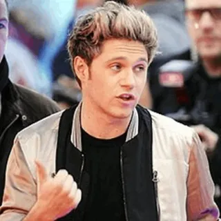 🌙 Niall Horan Niall Horan, One Direction, Sänger, Promi telegram sticker