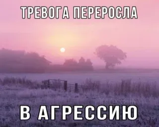 Больше стиков тут: @stikery4 telegram stickers
