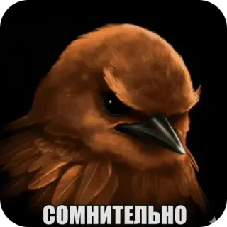 🐦‍⬛️ СОМНИТЕЛЬНО bird, suspicious, doubt, meme, animal, skeptical telegram sticker