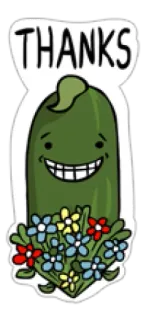 👮 THANKS gracias, pepinillo, flores, dibujos animados, saludo, gratitud telegram sticker