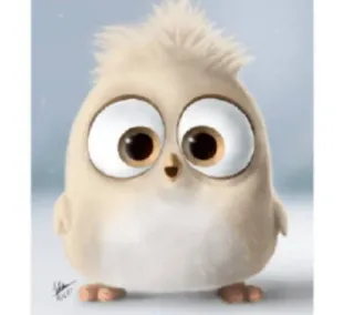 😳 vogel, cartoon, dier, schattig whatsapp sticker