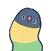 🦜