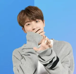 🤭 telegram sticker