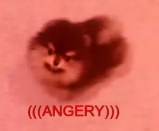 😡 (((ANGERY))) perro, enojado, meme, divertido, mascota, animal telegram sticker