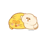 😠 cat, kitten, cute, adorable, kawaii, cuddle, pet, animal telegram sticker