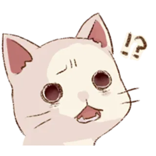 😨 !? kot, pytanie, niespodzianka, słodki, zwierzę, naklejka telegram sticker