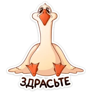 🙂 ЗДРАСЬТЕ ganso, pássaro, desenho animado, saudação, olá, animal telegram sticker