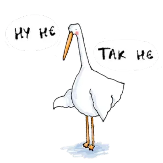 ❌ ну не так не 새, 오리, 동물, 만화 telegram sticker