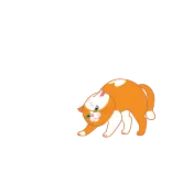 🤪 kucing, hewan, oranye, hewan peliharaan, anak kucing telegram sticker
