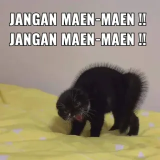 😀 JANGAN MAEN-MAEN !! telegram sticker