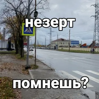Больше стиков тут: @stikery4 telegram stickers