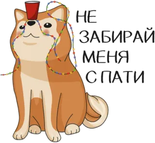 🎊 НЕ ЗАБИРАЙ МЕНЯ С ПАТИ 강아지, 파티, 웃긴, 귀여운, 동물, 컵, 전구 telegram sticker
