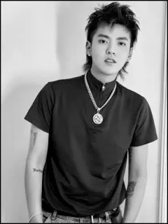 🎥 Kris Wu man, portret, zanger, acteur, beroemdheid, zwart wit telegram sticker