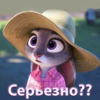 😲 Judy Hopps Zootopia Серьезно?? Judy Hopps, Zootopia, Cartoon, Bunny, Funny, Question, Hat, Disney whatsapp sticker