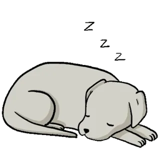 😴 dog, sleeping, cute, puppy, animal, rest telegram sticker