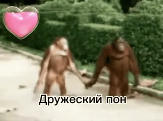 абизяна пони 2 :: @fStikBot whatsapp stickers