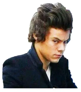 😏 Harry Styles harry styles, singer, musician, celebrity, one direction, pop star telegram sticker