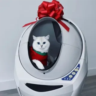 😺 gato, Natal, suéter, feriado, animal de estimação, animal, laço vermelho, caixa de areia telegram sticker