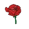 🌹