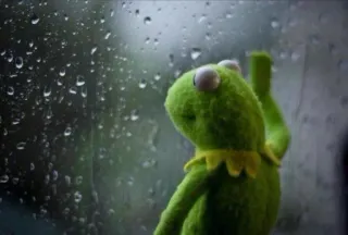 🌧️ Kermit Kermit, sad, rain, window, puppet, muppet telegram sticker