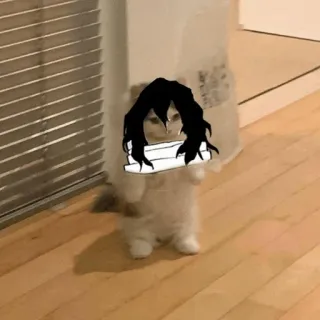 Standing Cat Anime @Icarusfalls telegram stickers