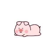 😒 猪, 动物, 可爱, 懒 telegram sticker