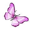 🦋