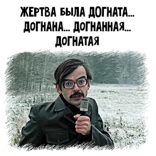 🎤 ЖЕРТВА БЫЛА ДОГНАТА...
ДОГНАНА... ДОГНАННАЯ...
ДОГНАТАЯ meme, russian, victim, comedy telegram sticker