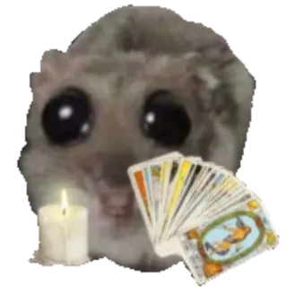 🔮 Japanese dwarf flying squirrel flying squirrel, momonga, tarot cards, candle, divination, cute, meme, fortune telling telegram sticker