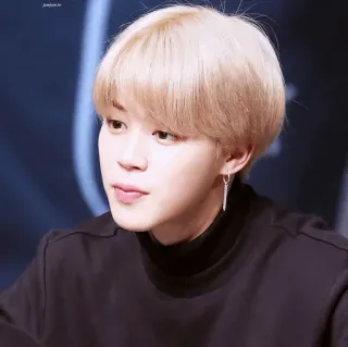 🕊 Jimin Kpop, Zanger, Jimin, BTS, Idool telegram sticker