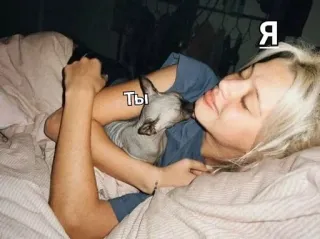 🌟 Я, Ты person, dog, bed, affection, love telegram sticker