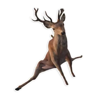 🐑 zwierzę, jeleń, natura, dzika przyroda telegram sticker
