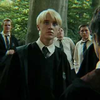 🐍 Draco Malfoy Harry Potter Draco Malfoy, Slytherin, Zauberer, Schuluniform, Harry Potter whatsapp sticker